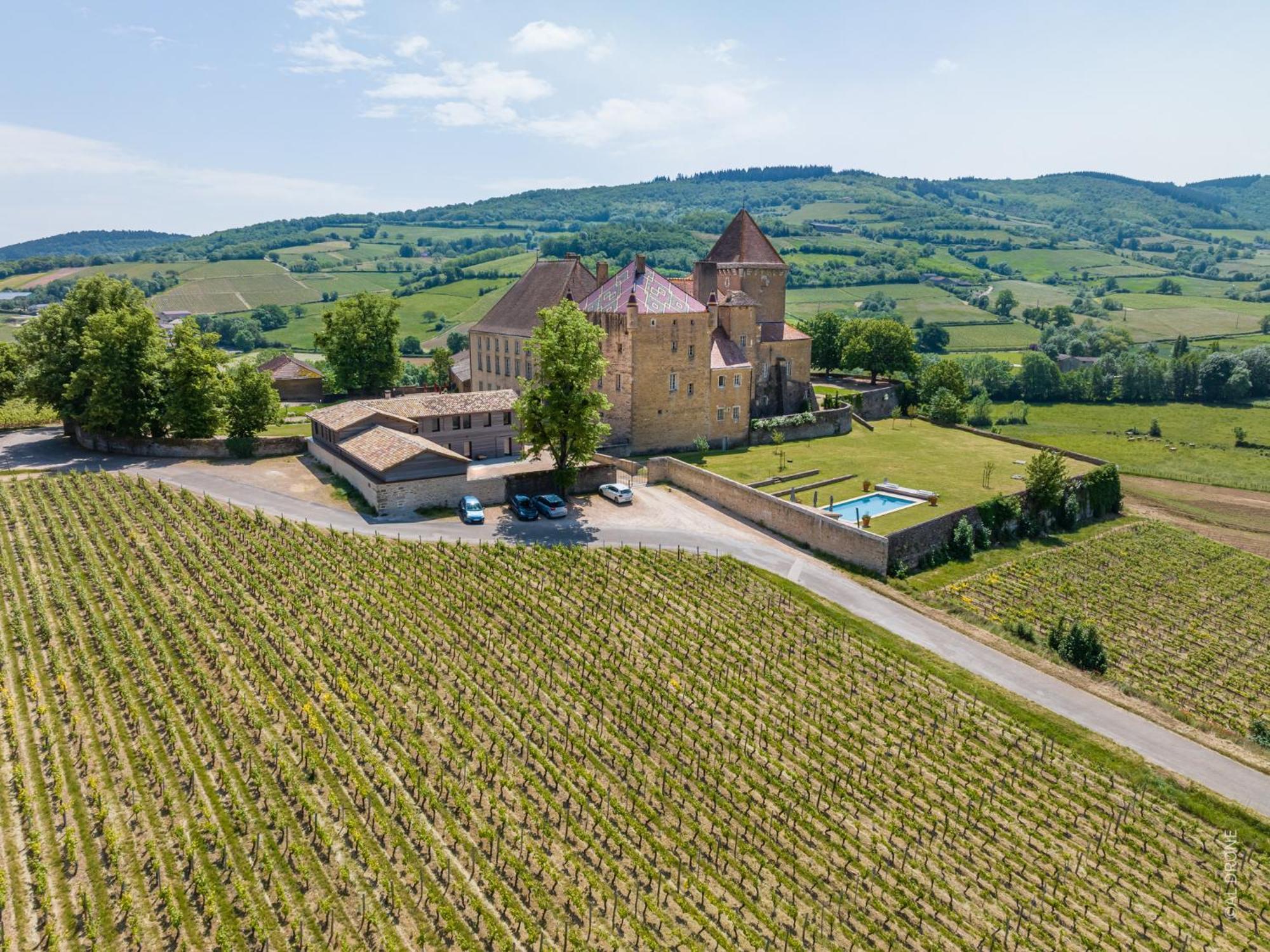 Chateau De Pierreclos Exterior photo